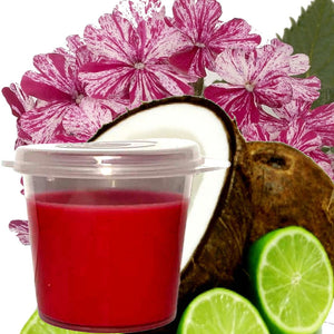 Coconut Lime Verbena Eco Soy Shot Pot Candle Wax Melts