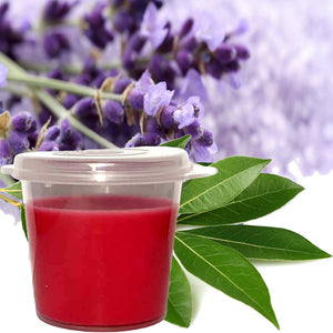 Eucalyptus & Lavender Eco Soy Shot Pot Candle Wax Melts