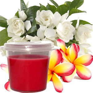 Frangipani Gardenia Jasmine Eco Soy Shot Pot Candle Wax Melts