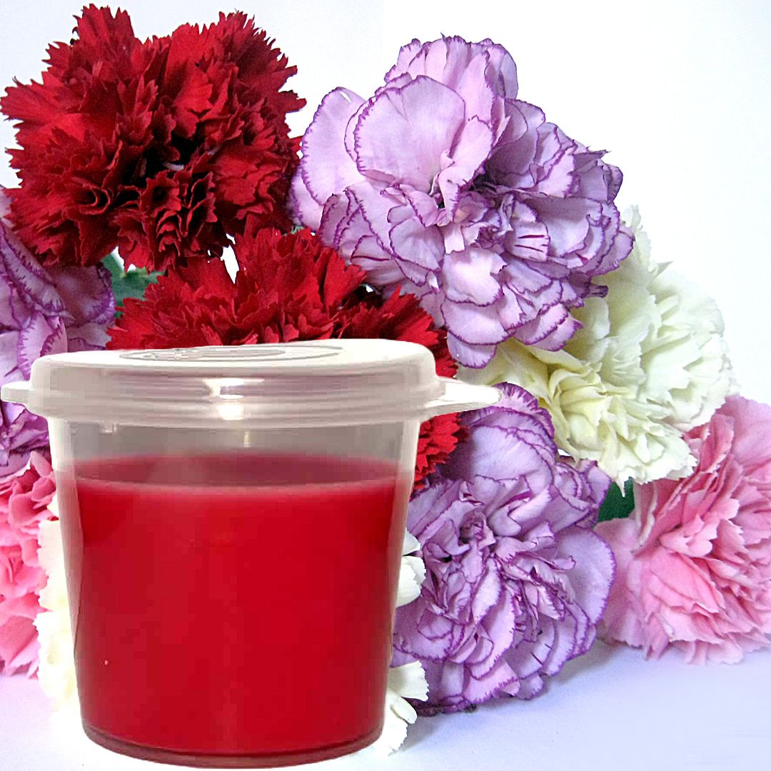 Fresh Carnations Eco Soy Shot Pot Candle Wax Melts