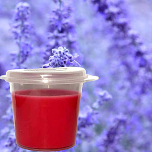 Fresh Lavender Eco Soy Shot Pot Candle Wax Melts