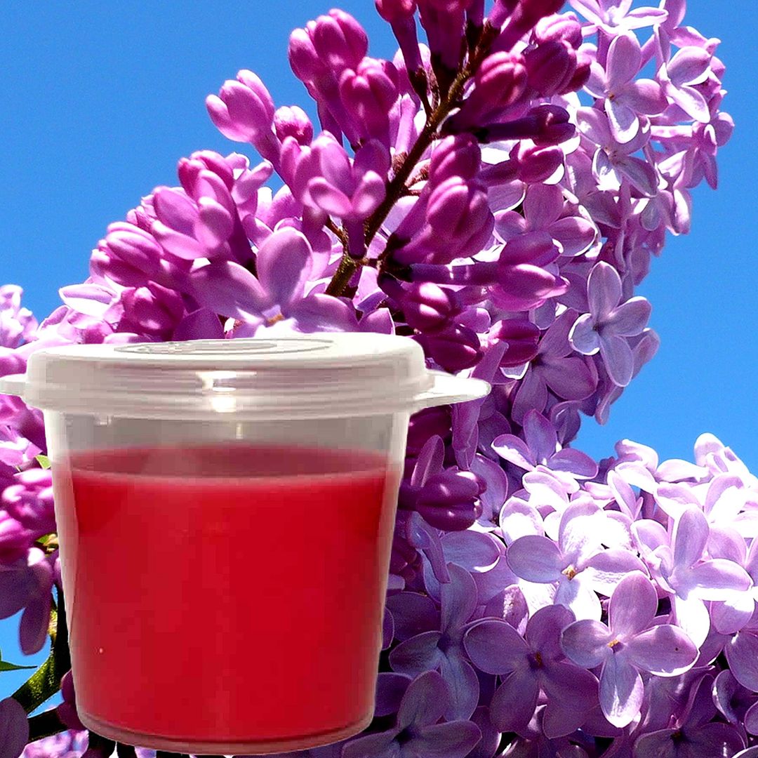 Fresh Lilac Eco Soy Shot Pot Candle Wax Melts