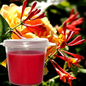 Honeysuckle Jasmine Eco Soy Shot Pot Candle Wax Melts