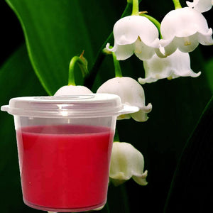 Lily Of The Valley Eco Soy Shot Pot Candle Wax Melts