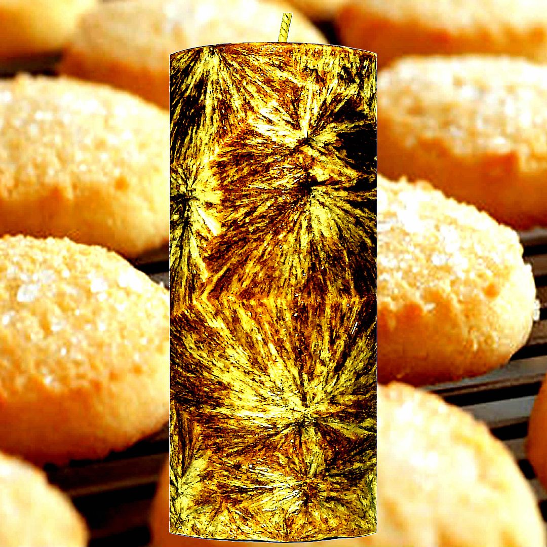 Sugar Cookies Scented Palm Wax Pillar Candle – Vegan, Cruelty-Free, Made in Australia - Long-Lasting Fragrance – Perfect for Weddings, Birthdays, Christmas Gifts & All Occasions