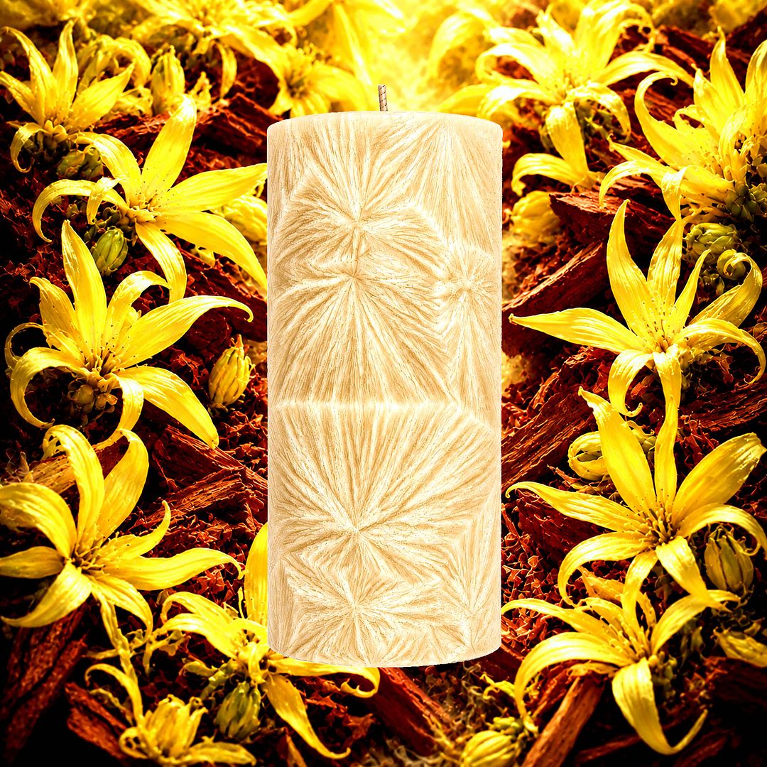 Ylang Ylang & Sandalwood plant based Pillar Candle – vegan, cruelty-free featuring exotic ylang ylang and warm sandalwood, handmade in Australia.
