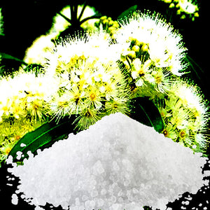 Australian Lemon Myrtle Scented Bath Salts Bath Soak