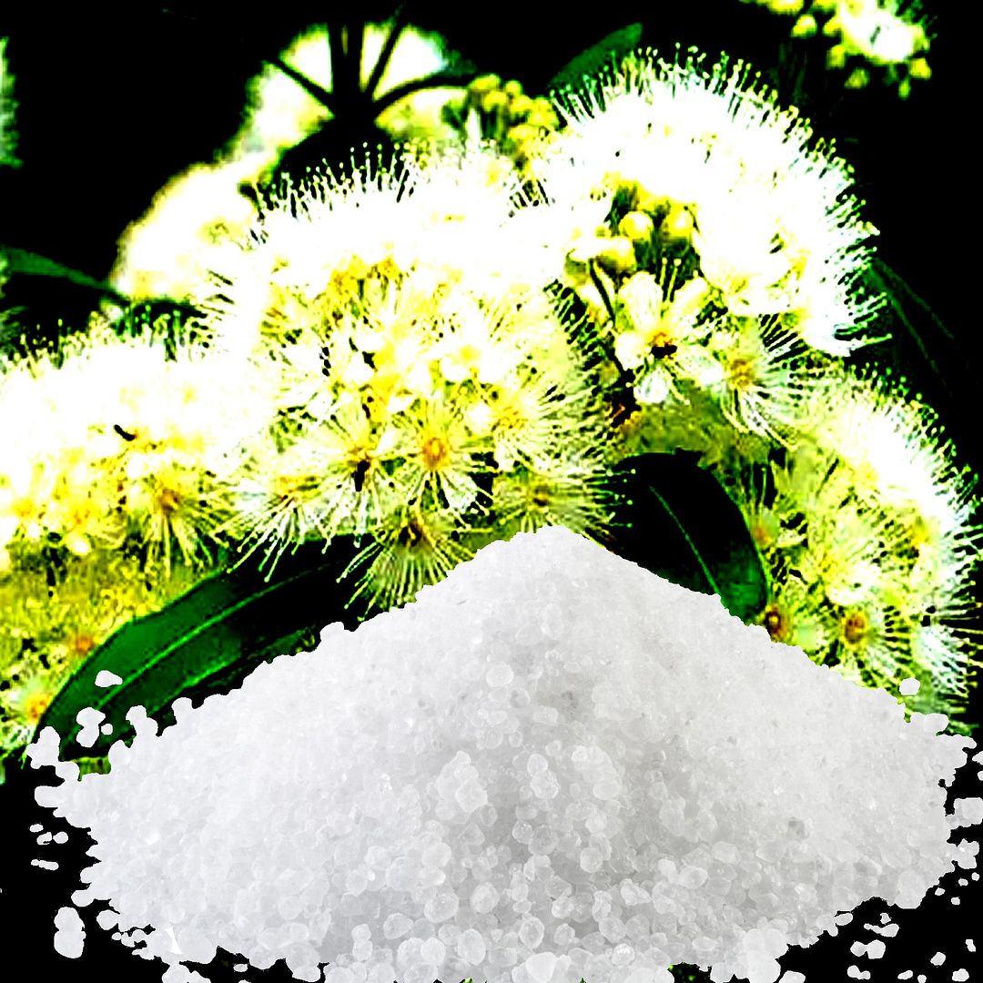Australian Lemon Myrtle Scented Bath Salts Bath Soak