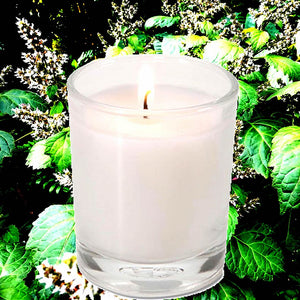 Australian Patchouli Scented Eco Soy Votive Candles Hand Poured
