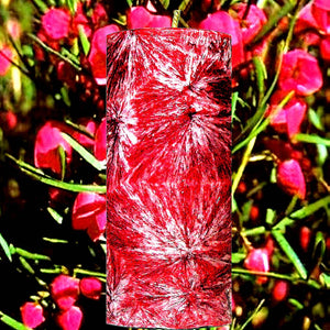 Australian Red Boronia Palm Wax Pillar Candle