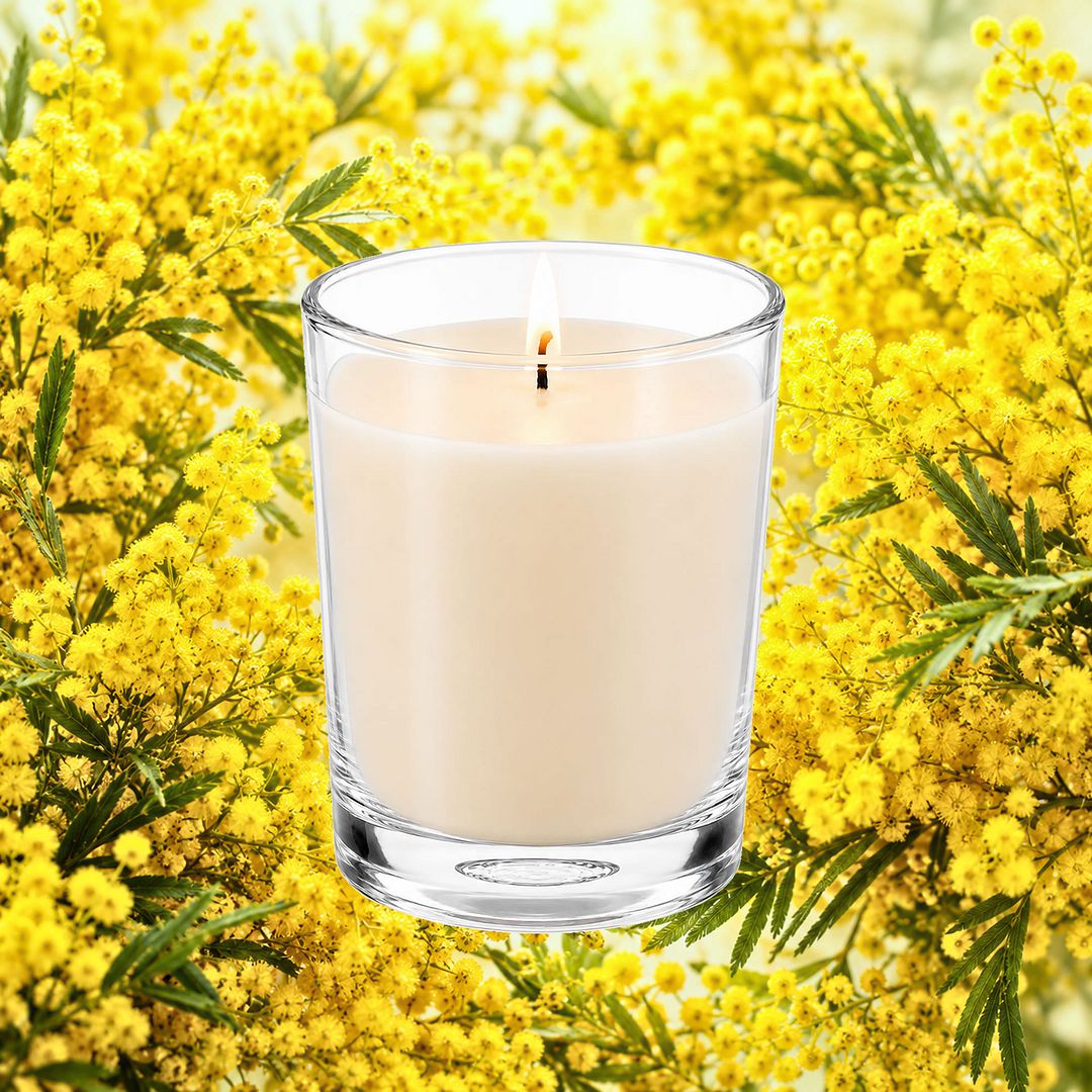 Australian Golden Wattle Scented Votive Candles eco soy plant based – vegan, cruelty-free featuring native wattle blossoms, handmade in Australia.