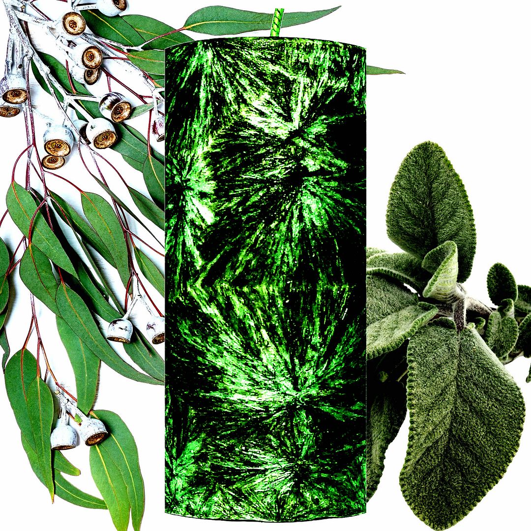 Eucalyptus & Wild Sage Palm Wax Pillar Candle
