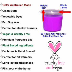 Scented Eco Soy Wax Candle Melts Shot Pots