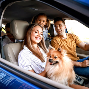 Zucchini Bread Car Air Freshener Spray Vegan Plant-Based Cruelty-Free Pet Safe