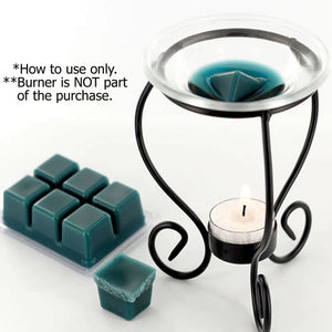 Balsam & Cedar Candle Wax Melts - Clams