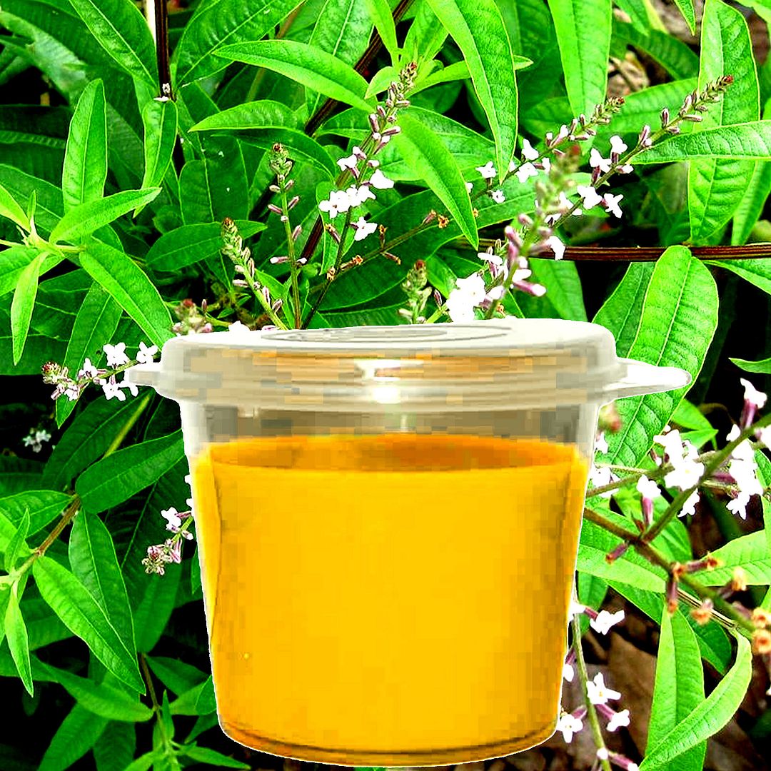 Lemon Verbena Eco Soy Candle Melts – Vegan, Cruelty-Free, Handmade in Australia - Long-Lasting Fragrance for Oil Burners and Electric Melters