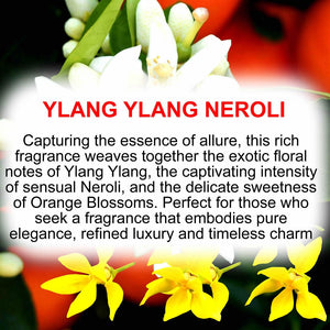 Perfume body spray mist - vegan and cruelty-free unisex fragrance made in Australia. A gentle, long-lasting scent suitable for women, men, teens, and adults. Ideal for all skin types and makes a thoughtful gift for him or her.