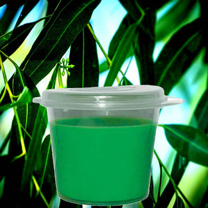 Eucalyptus & Citronella Candle Wax Melts - Shot Pots