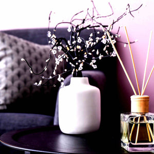 Diffuser Fragrance Oil Refill & Reeds