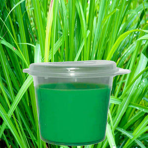 Natural Citronella Candle Wax Melts - Shot Pots