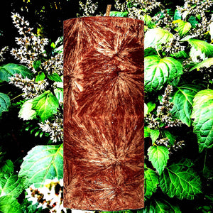 Australian Patchouli Palm Wax Pillar Candle