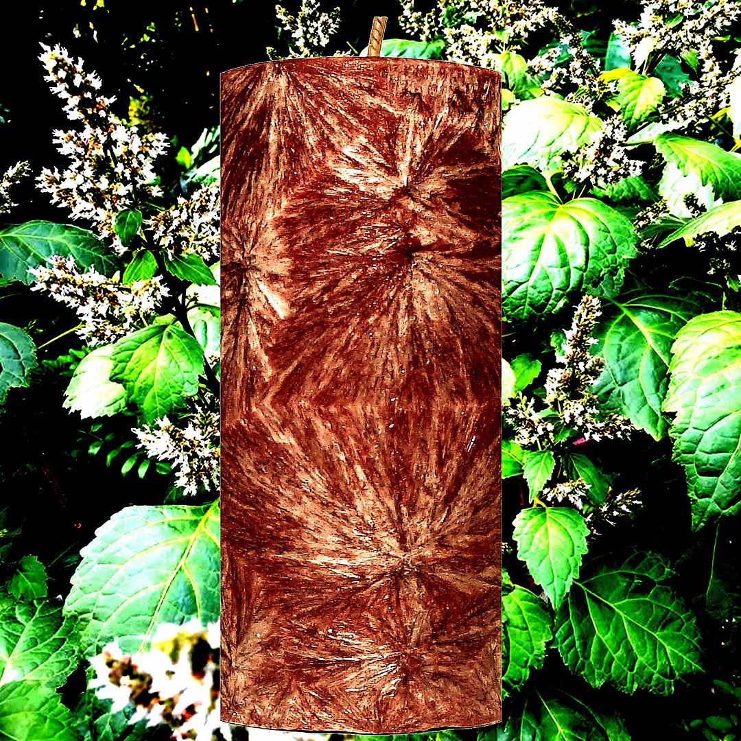 Australian Patchouli Palm Wax Pillar Candle
