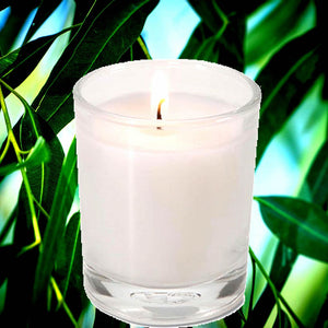 Australian Eucalyptus Scented Eco Soy Votive Candles Hand Poured