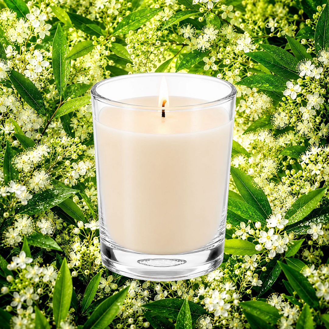 Australian Lemon Myrtle Scented Votive Candles eco soy plant based – vegan, cruelty-free featuring uplifting citrus floral lemon myrtle, handmade in Australia.