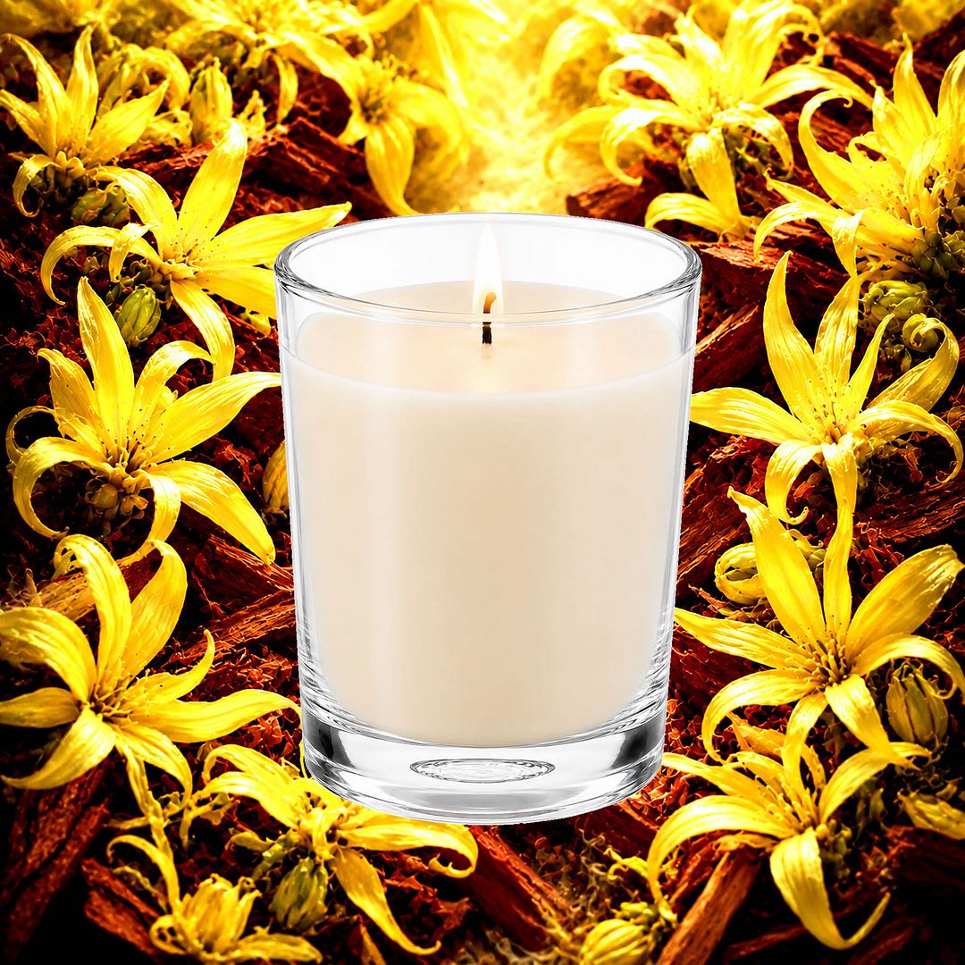 Ylang Ylang & Sandalwood Scented Votive Candles eco soy plant based – vegan, cruelty-free featuring exotic ylang ylang and warm sandalwood, handmade in Australia.
