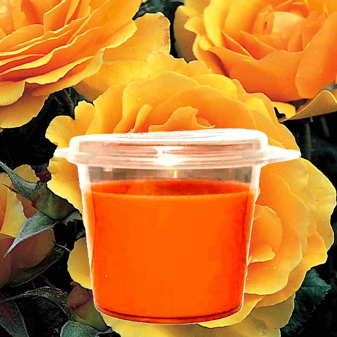 Amber Rose eco soy wax melts – vegan, cruelty-free featuring warm amber and soft rose petals, handmade in Australia.