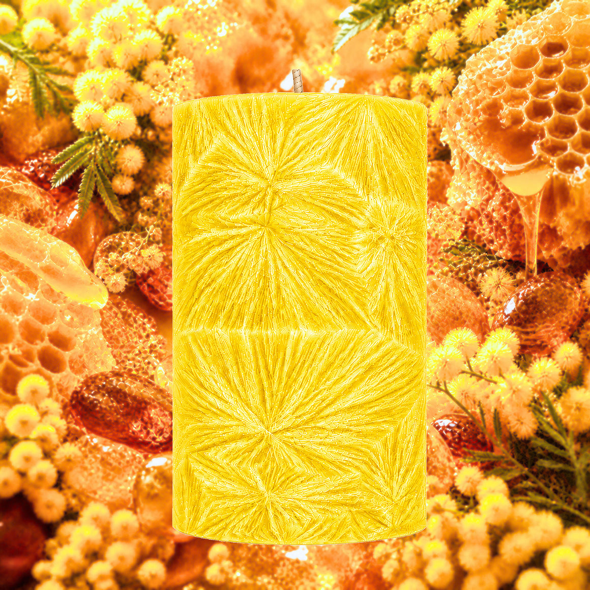 Amber Wattle & Wild Honey Pillar Candle