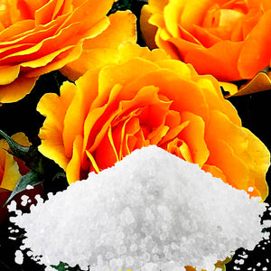 Amber Rose Bath Salts/Bath Soak/Bath Crystals