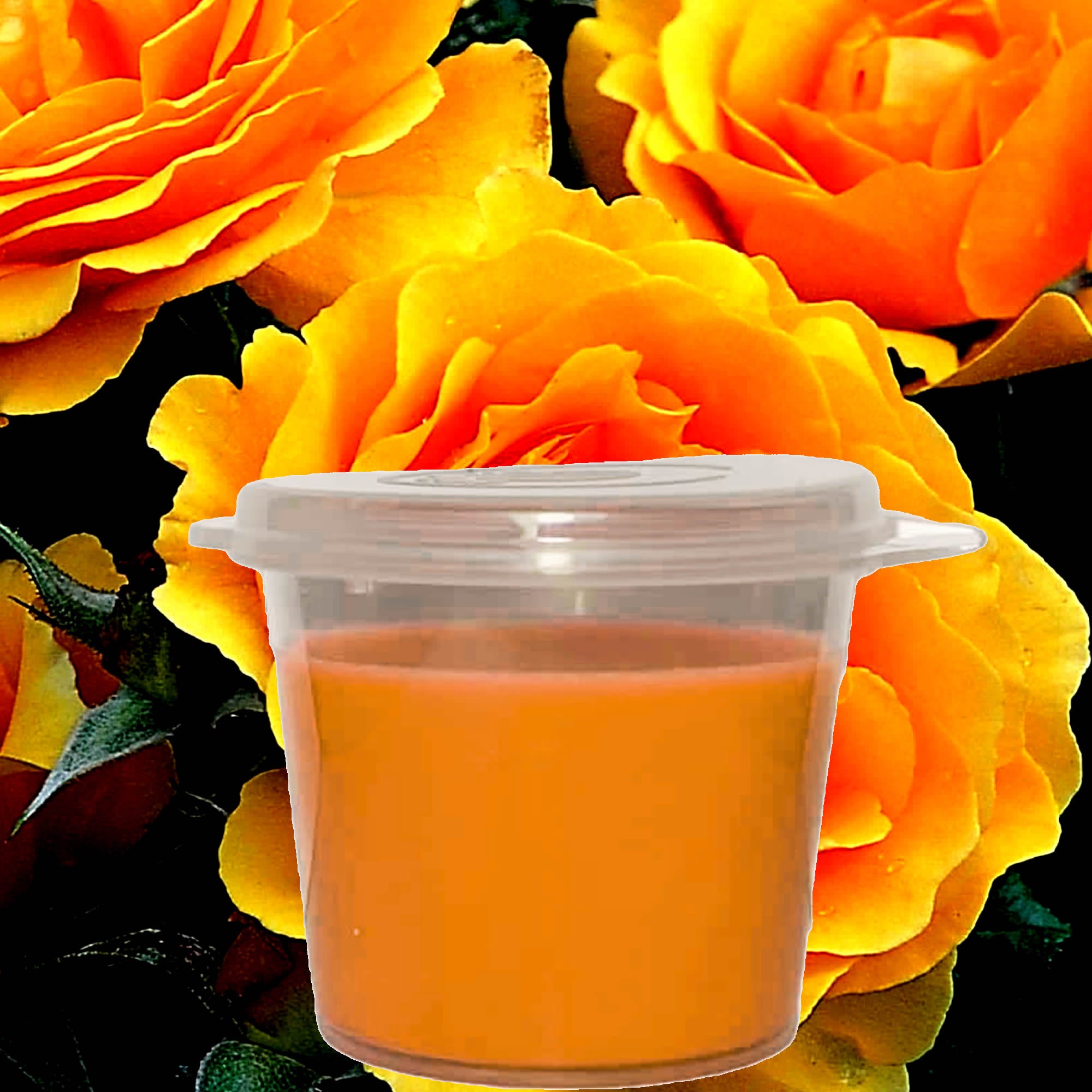 Amber Rose Soy Candle Melt Shot Pots – Plant-Based, Vegan, Cruelty-Free, Hand-Poured