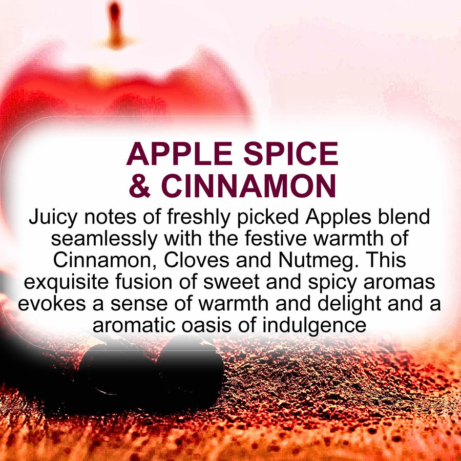 Apple Spice & Cinnamon Diffuser Fragrance Oil with Reeds – Vegan Cruelty-Free Home Aroma