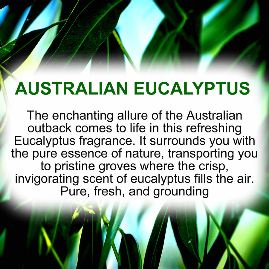 Australian Eucalyptus Body Wash/Shower Gel/Bubble Bath Plant Based Vegan Cruelty Free