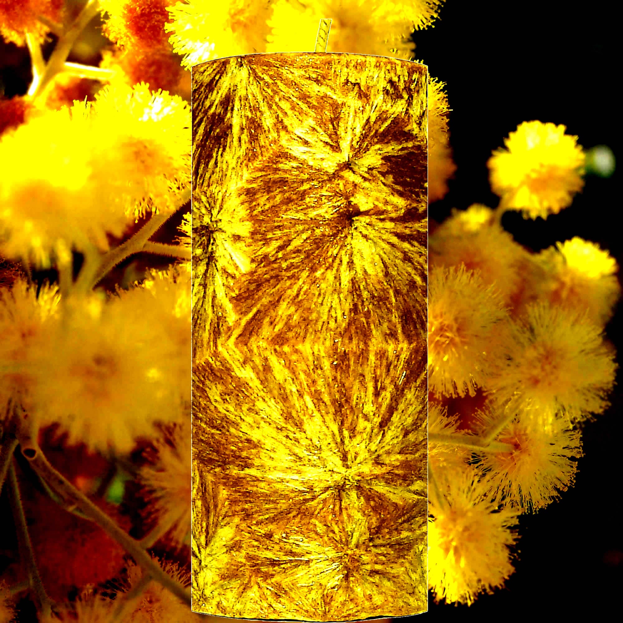 Australian Golden Wattle Pillar Candle – Plant-Based, Eco-Friendly, Vegan, Cruelty Free