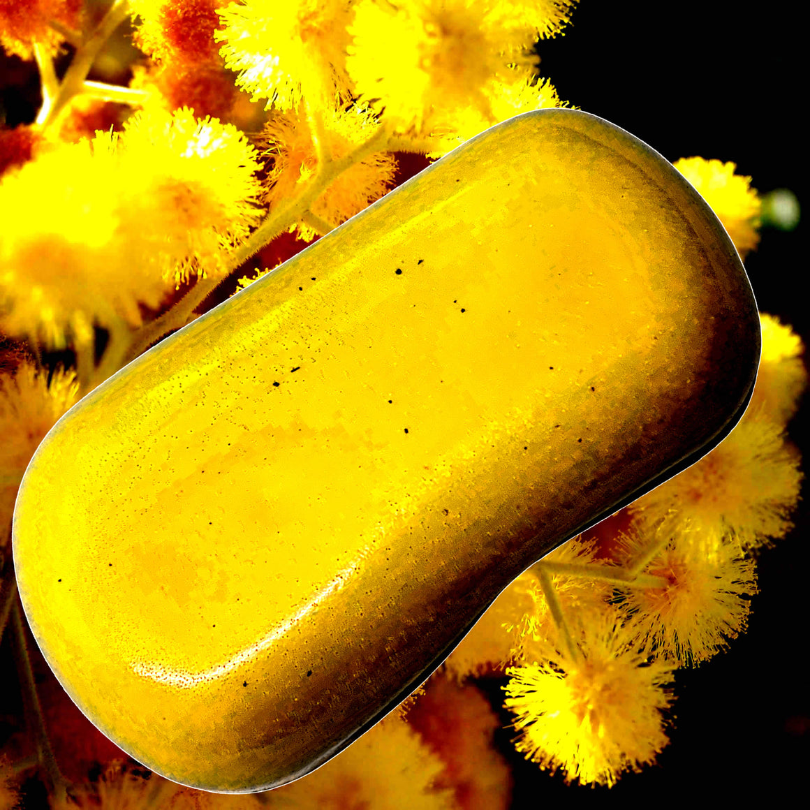 Australian Golden Wattle Vegan Soap Bars Plant-Based Cruelty-Free Handcrafted