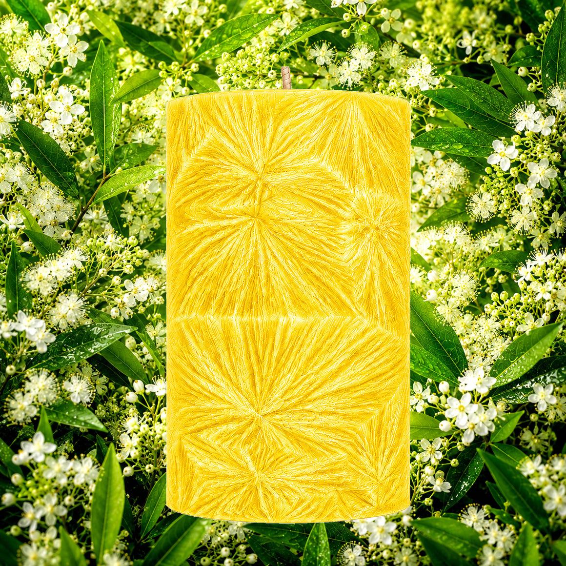 Australian Lemon Myrtle Pillar Candle