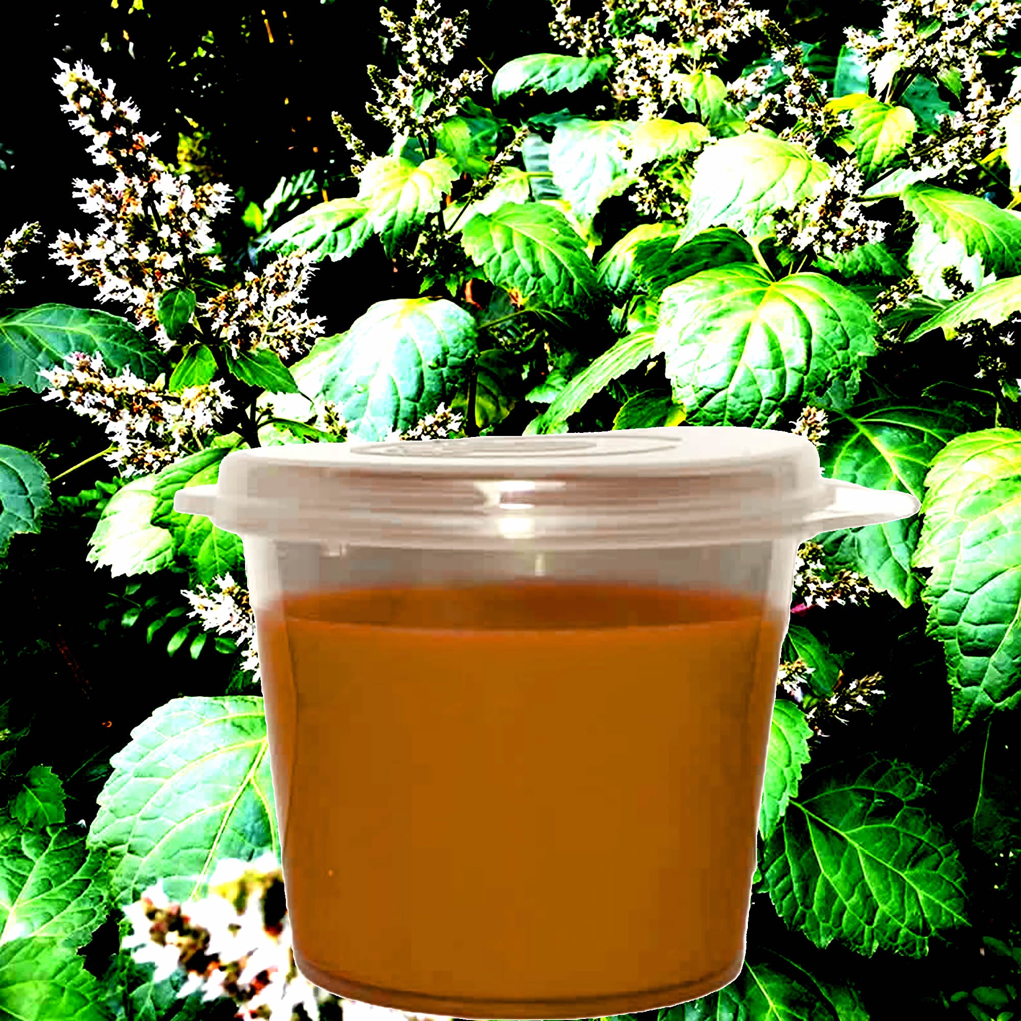 Australian Patchouli eco soy wax melts – vegan, cruelty-free featuring earthy natural patchouli aroma, handmade in Australia.