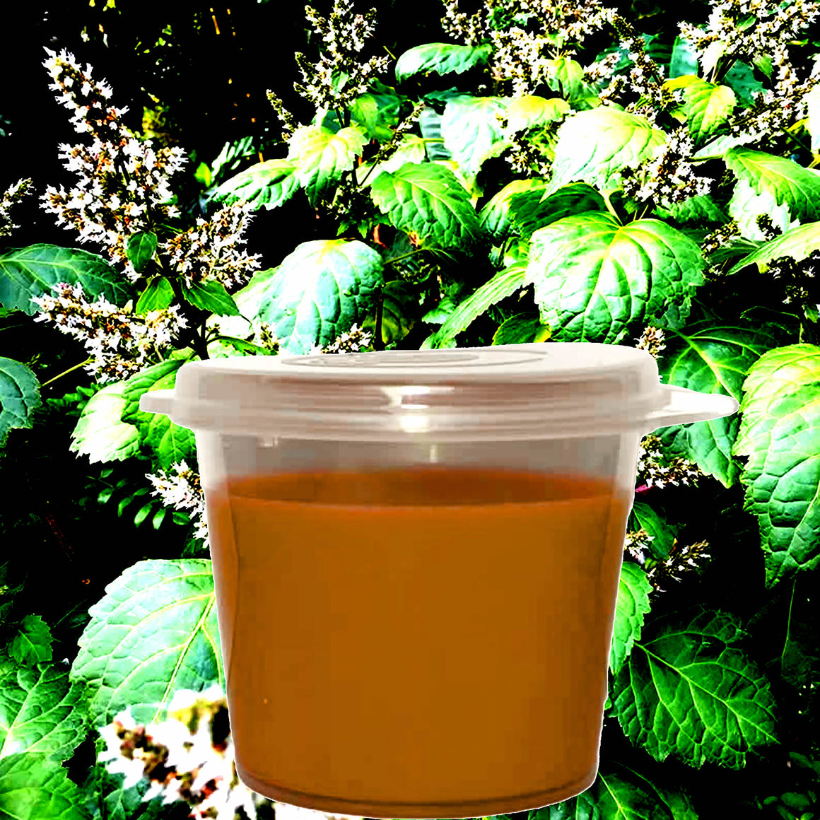 Australian Patchouli eco soy wax melts – vegan, cruelty-free featuring earthy natural patchouli aroma, handmade in Australia.