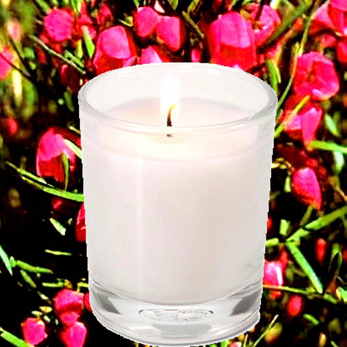 Australian Red Boronia Eco Soy Votive Candles – Clean Burn, Plant-Based, Vegan & Pet Safe