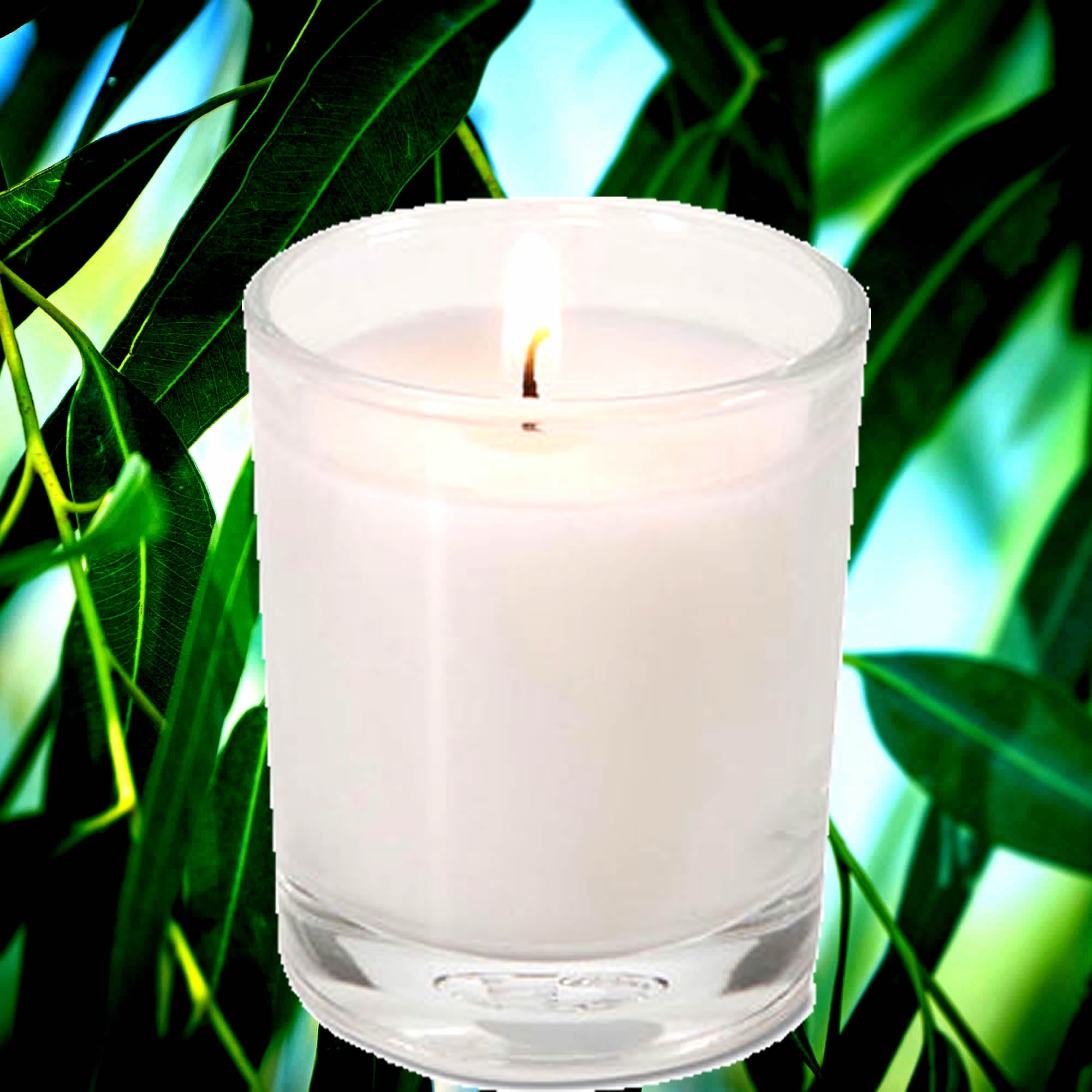 Eucalyptus & Citronella Eco Soy Votive Candles – Clean Burn, Plant-Based, Vegan & Pet Safe