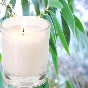 Australian Eucalyptus Scented Eco Soy Votive Candles Hand Poured