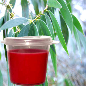 Australian Eucalyptus Eco Soy Shot Pot Candle Melts