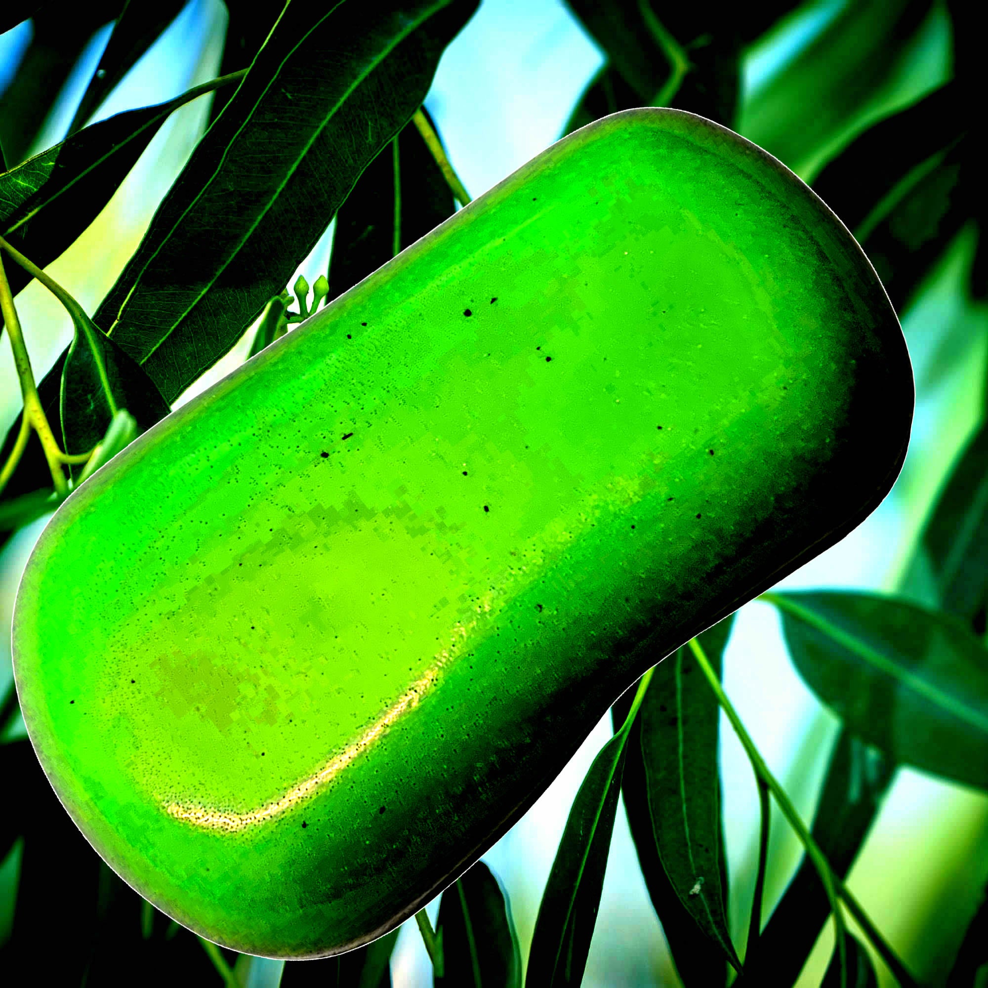 Australian Eucalyptus Vegan Soap Bars Plant-Based Cruelty-Free Handcrafted