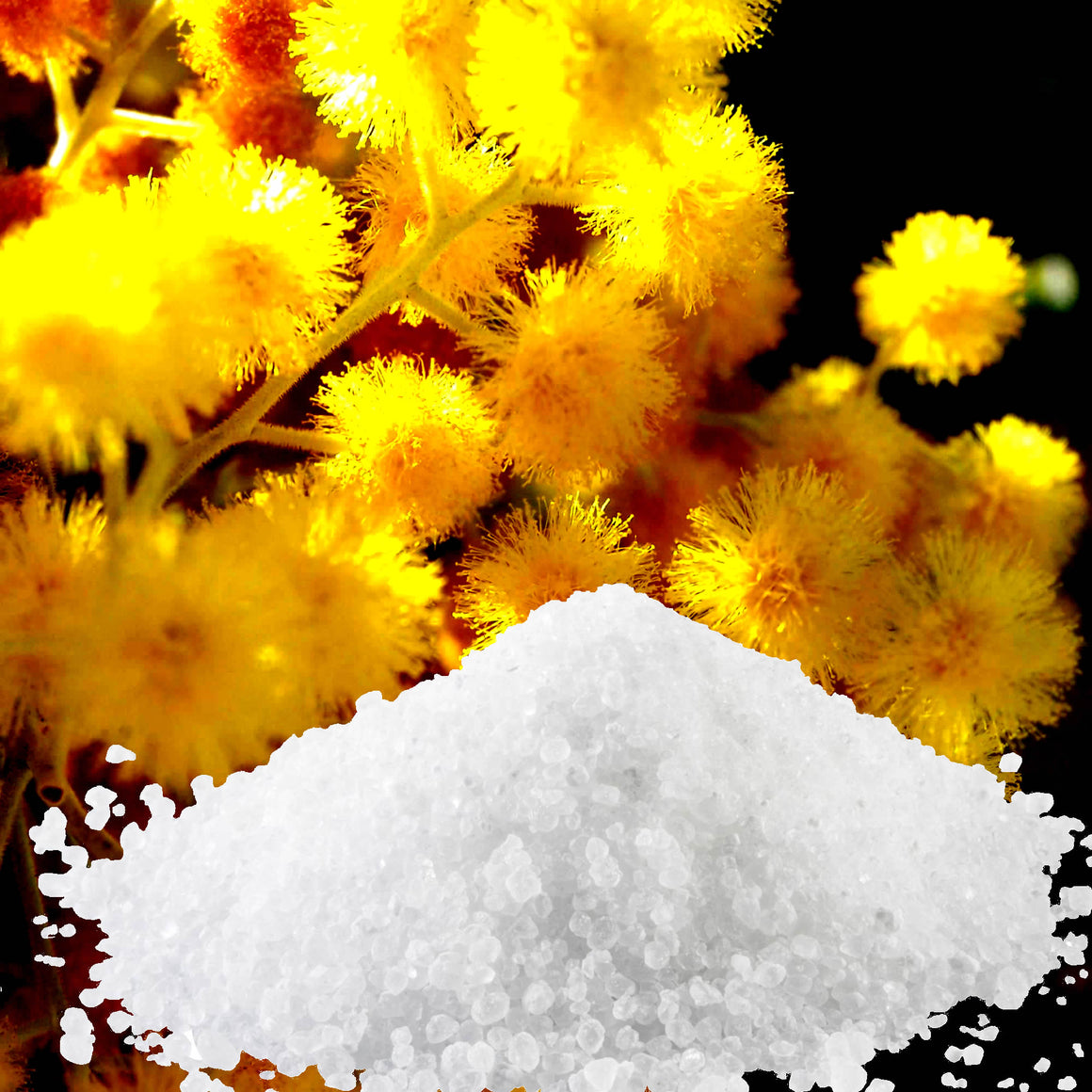 Australian Golden Wattle Bath Salts/Bath Soak/Bath Crystals