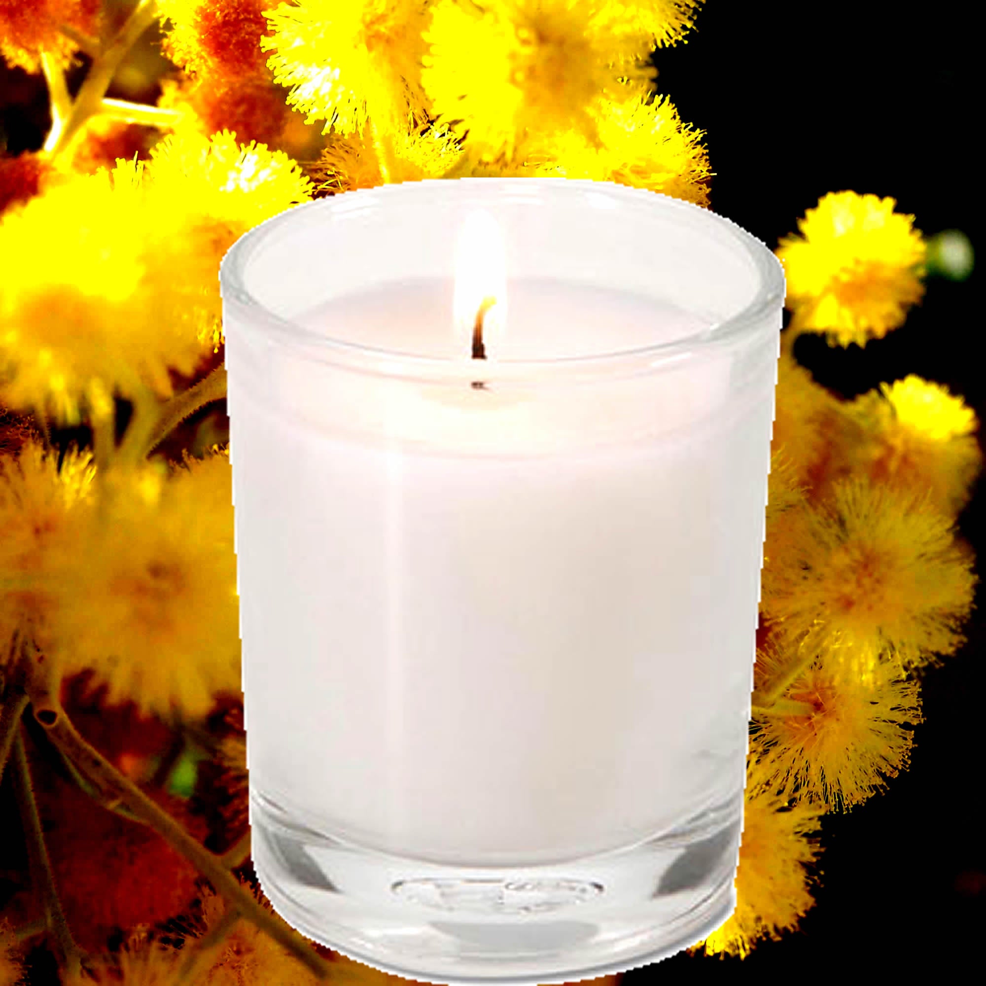 Australian Golden Wattle Eco Soy Votive Candles – Clean Burn, Plant-Based, Vegan & Pet Safe