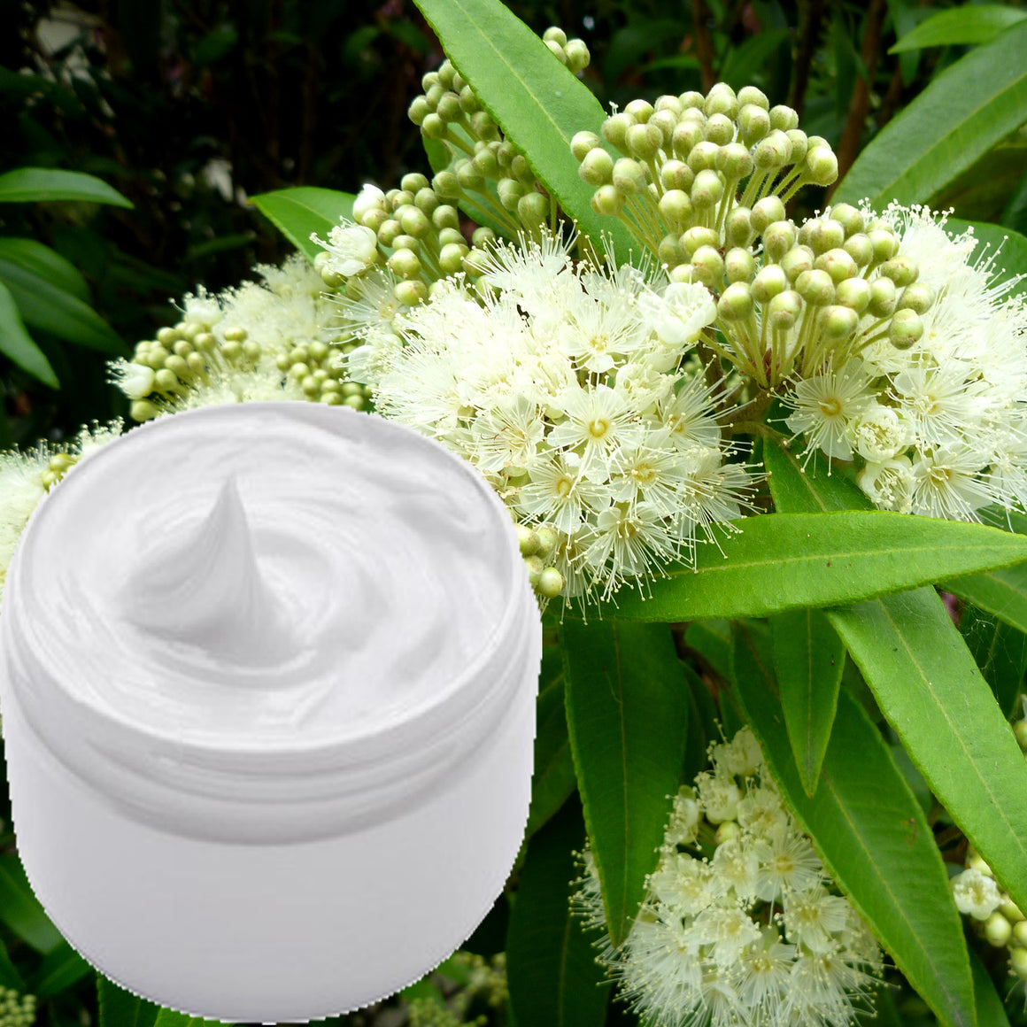 Australian Lemon Myrtle Scented Body/Hand Cream Moisturiser