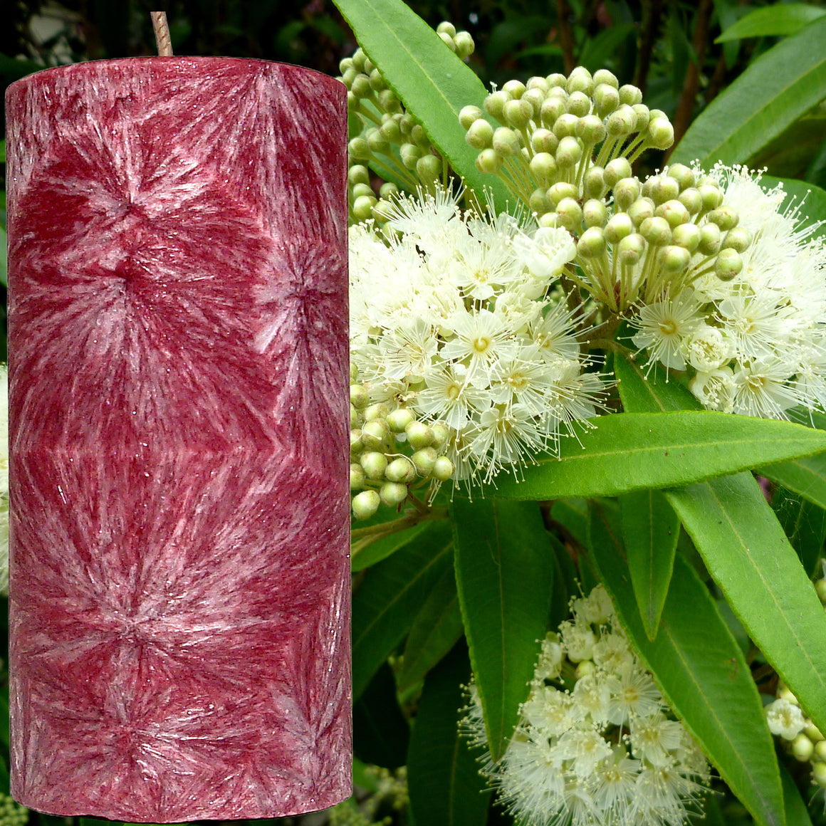 Australian Lemon Myrtle Scented Palm Wax Pillar Candle Hand Poured