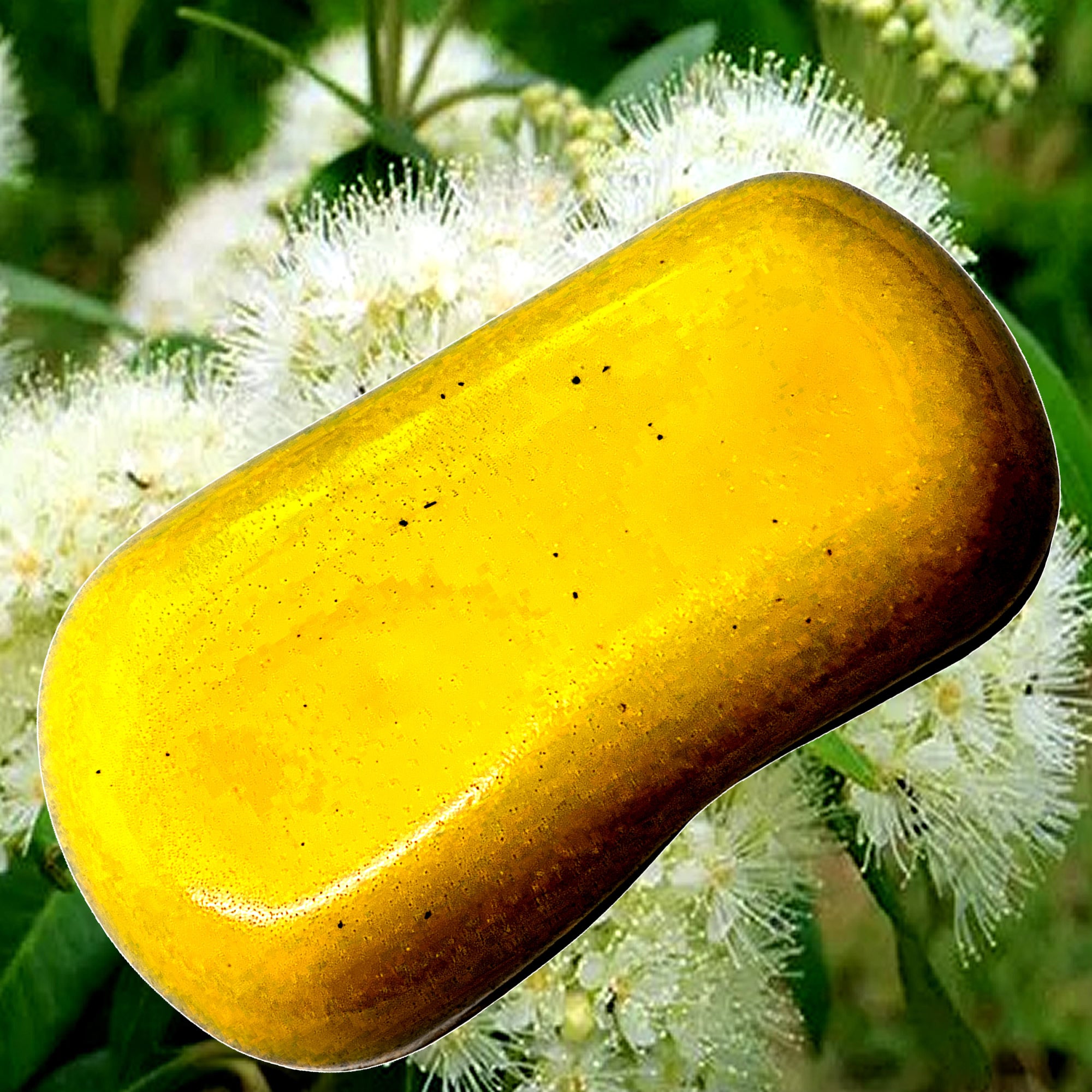 Australian Lemon Myrtle Vegan Soap Bars Plant-Based Cruelty-Free Handcrafted